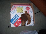 Pizza Box